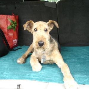 Meet your Posher, Billy